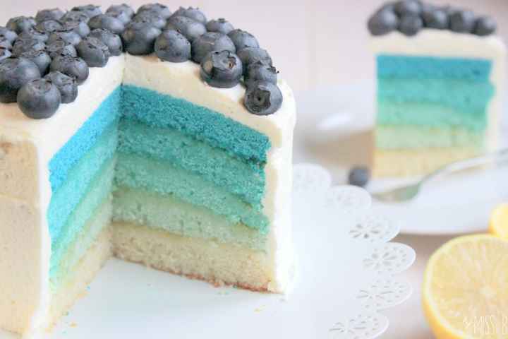 Preview_small_blue_obre_cake_with_blueberries__3_-001