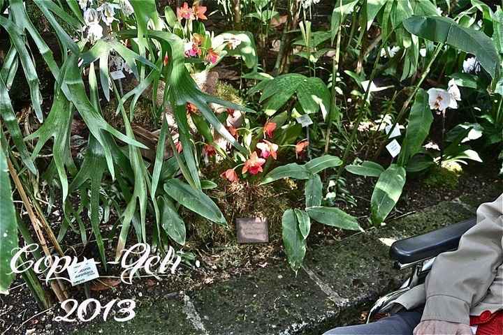 Seite 12
