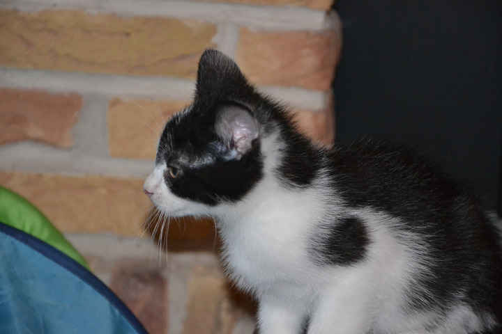 Seite 1